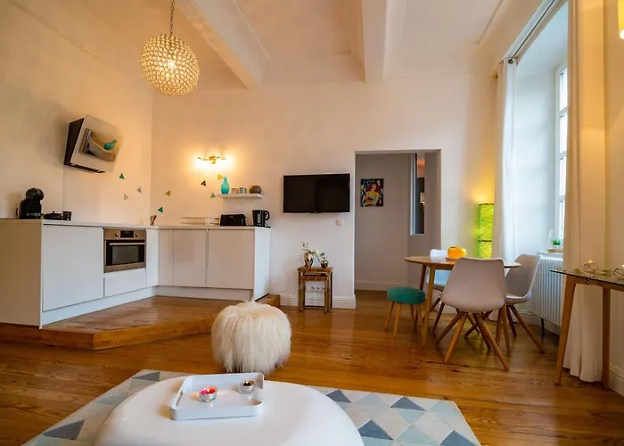 Charme Et Standing Centre Apartment